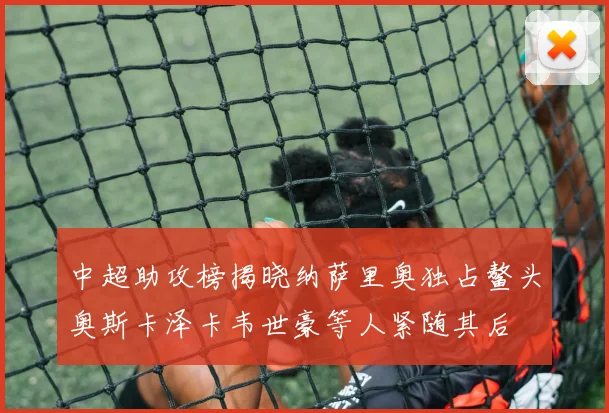 中超助攻榜揭晓纳萨里奥独占鳌头奥斯卡泽卡韦世豪等人紧随其后