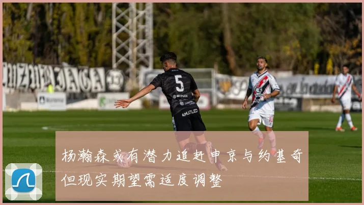杨瀚森或有潜力追赶申京与约基奇但现实期望需适度调整