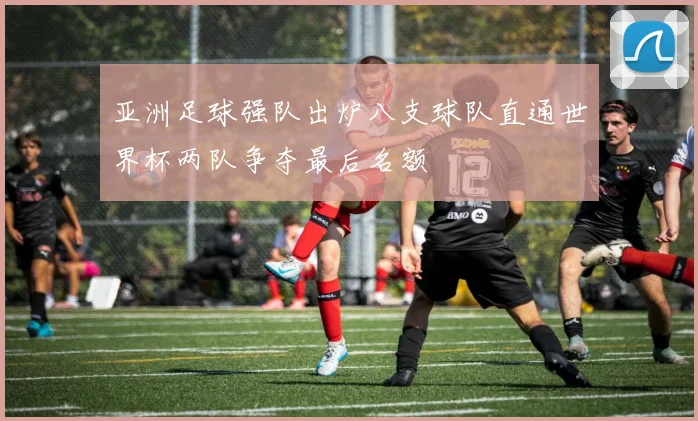 亚洲足球强队出炉八支球队直通世界杯两队争夺最后名额