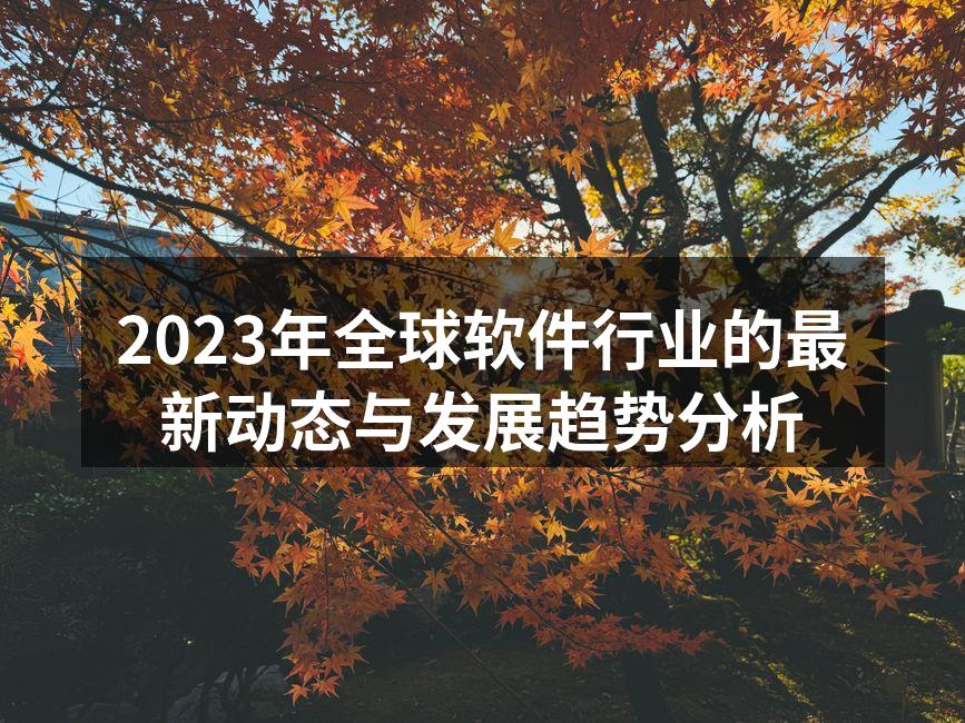 2023年全球软件行业的最新动态与发展趋